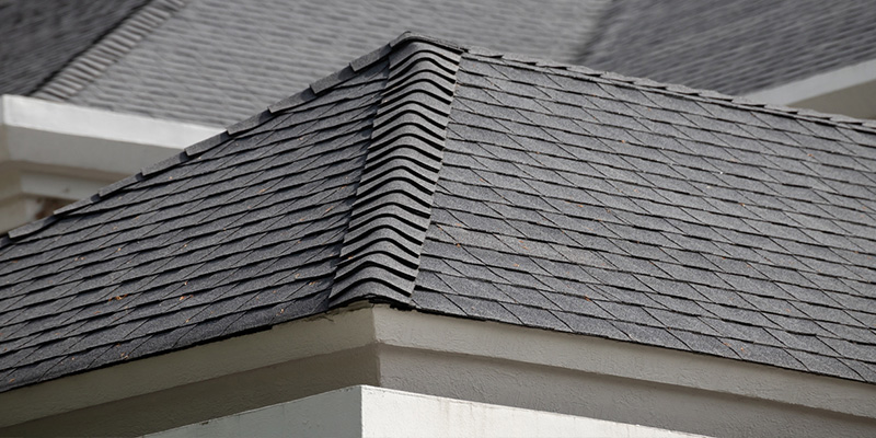 Roof Cleaning: What Fungi and Algae Buildup Does to Your Shingles 