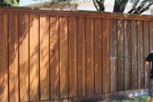 Keep Your Yard Looking Great with Professional Fence Cleaning