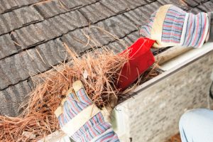 The Importance of Commercial Gutter Cleaning