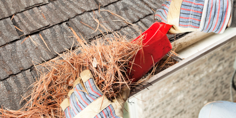 The Importance of Commercial Gutter Cleaning